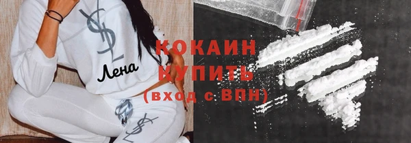 МДПВ Ельня