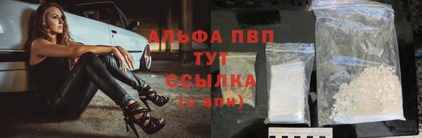 МДПВ Ельня