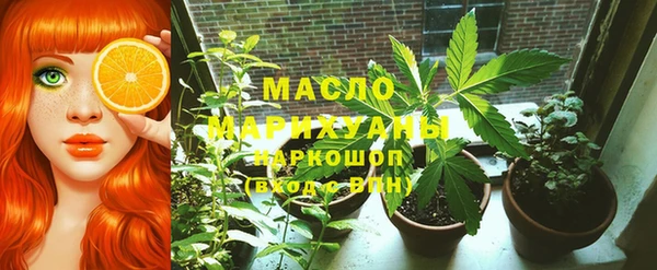 МДПВ Ельня