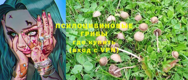 скорость Заводоуковск